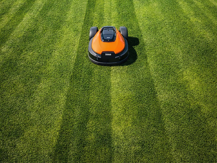 Beste robotmaaier voor grote gazons