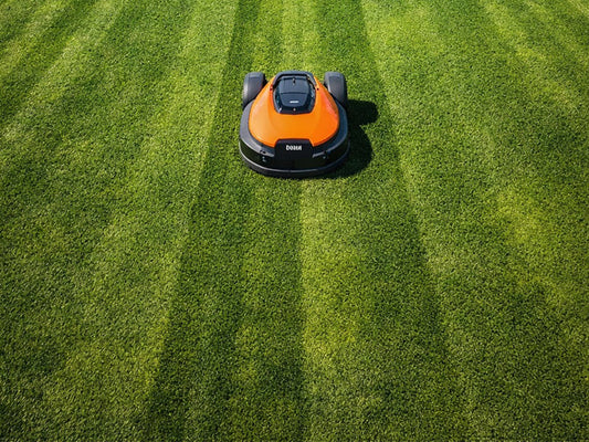 Beste robotmaaier voor grote gazons