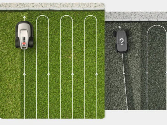 Geel gras na maaien: herkennen, herstellen en voorkomen