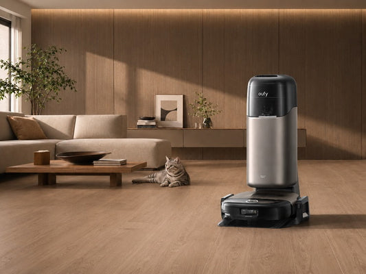 Robotstofzuiger Met Kat In Woonkamer