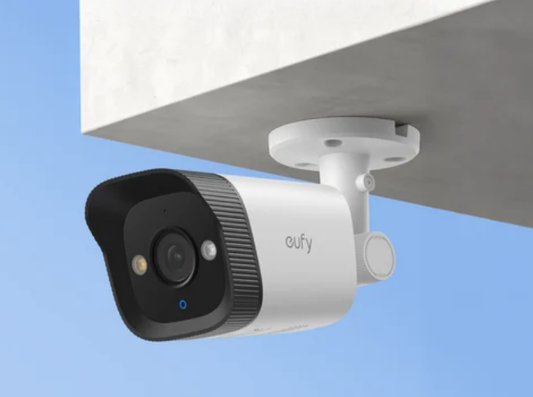 NVR camera