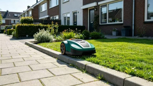 Grasmaaier voor Kanten