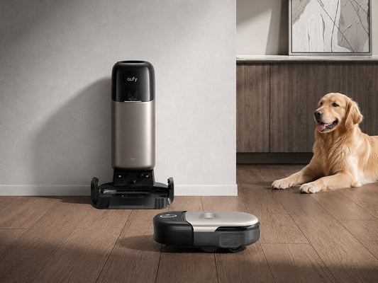 Robotstofzuiger Met Hond In Huis